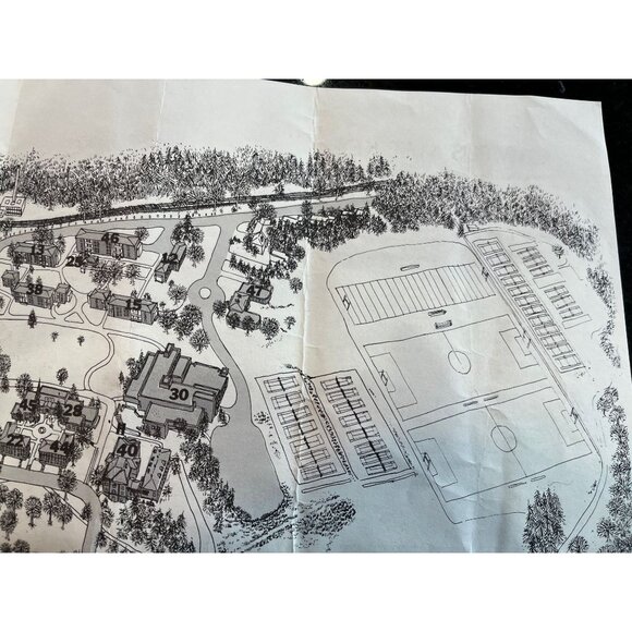 Vintage 1982 Amherst College Drawing By Peter Laird TMNT Fame 18" x 1 - Picture 6 of 9